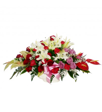 Best Wishes